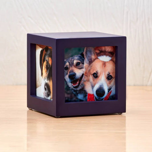 Photo Cube Urn for Pet Ashes - Violet